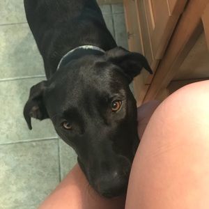 Meet your Posher, Camille